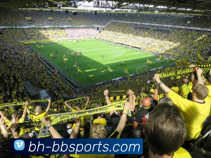 多媒体互动体验